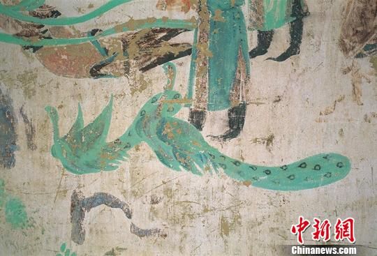 圖為莫高窟332窟中繪于初唐的“雙孔雀” 。敦煌研究院供圖